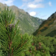 Marcin Ś.