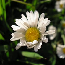 Barbara Ś