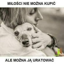 Maria OPP