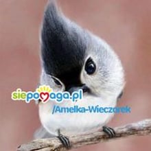 Ewa Pawlicka
