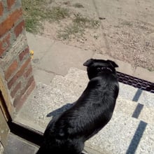 Jakub .