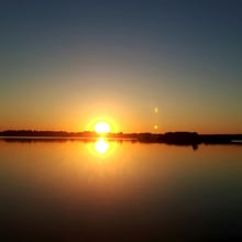 Bojków