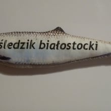 matapa