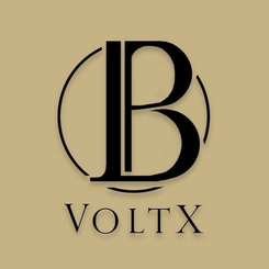 VoltX Piotr Borowik