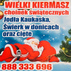 WIELKI KIERMASZ CHOINEK BRZEZIA ŁĄKA