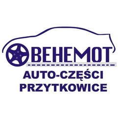 Behemot s.c.