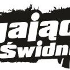 Stowarzyszenie Biegający Świdnik