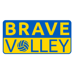 BraveVolley