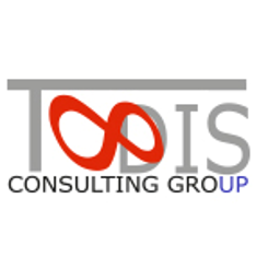 Todis Consulting Group