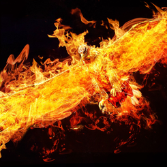 Phoenix Adam Wiatr