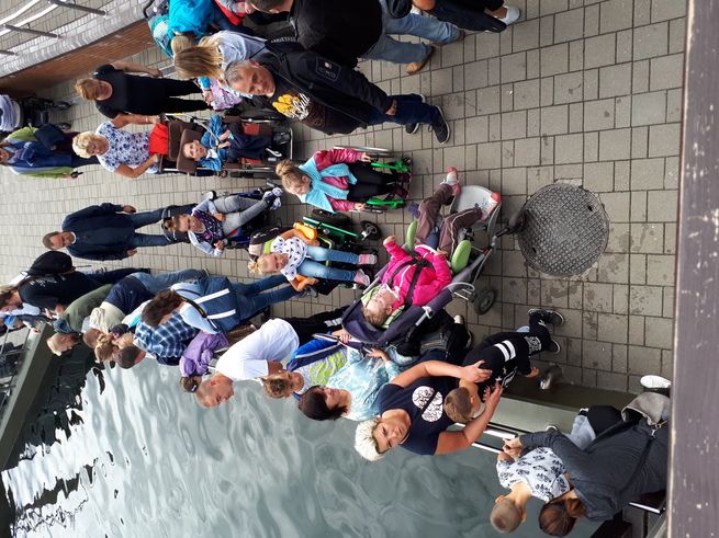 Agata Czajka-Komorowska