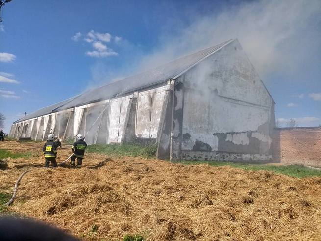 Przemysław Gruszczyński