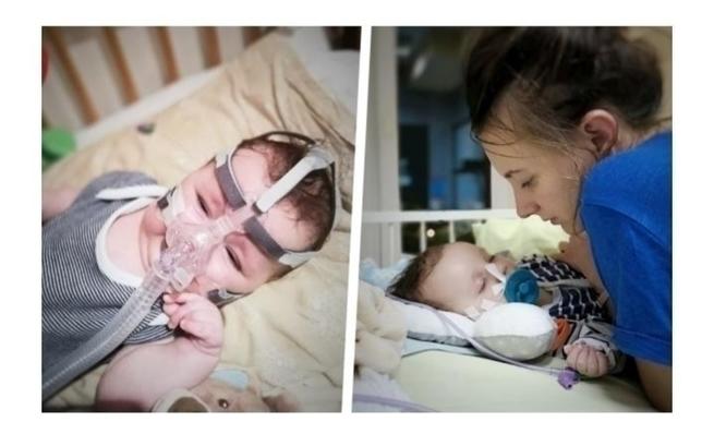 Agnieszka Niewiarowska 