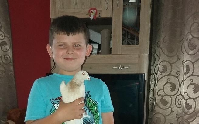 Agnieszka Sieradzka-Podkowa