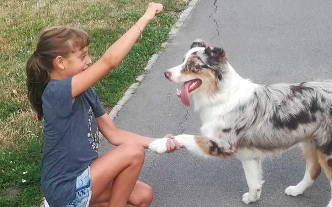 Emilia Izabela Dziedzic