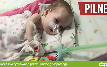 Agnieszka Włodarczyk