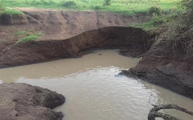 Africahelp2019@gmail.com