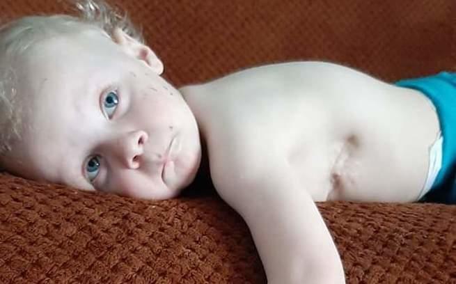 Agnieszka Skowrońska