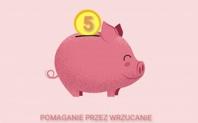 Paulina Cempel-Świsulska