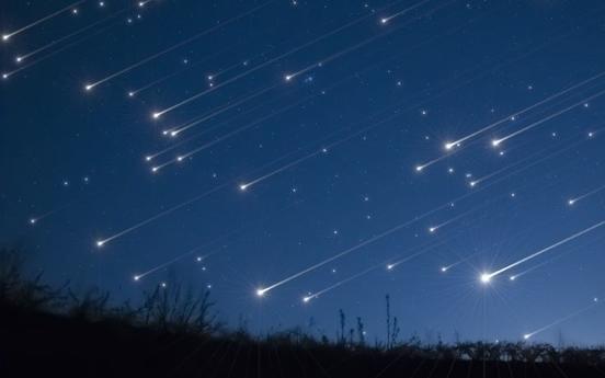 Lucyna Mierzejewska-Kargul