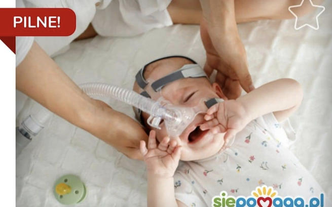 Dominika Amelia Kotowicz