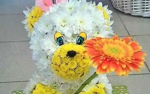 Katarzyna Wiejkowska