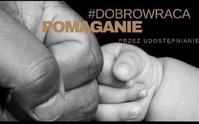 Wioleta Wasieczko