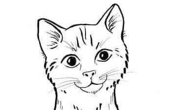 Anna Dołhan-Mikuła