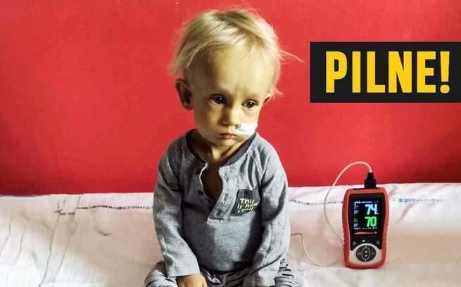 Małgorzata Okońska