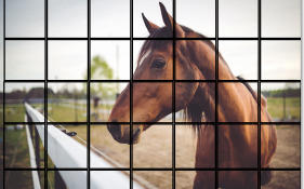 Klaudia Lemi Lemiszewska