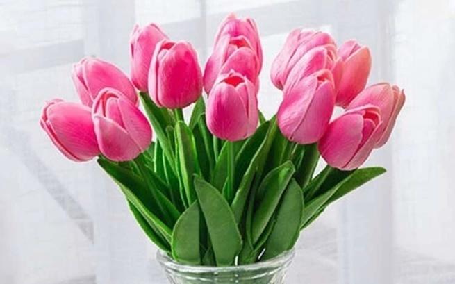 Marta Gawrońska Petryk