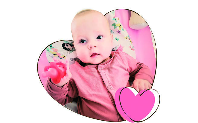 Krzysztof Zakrzewski