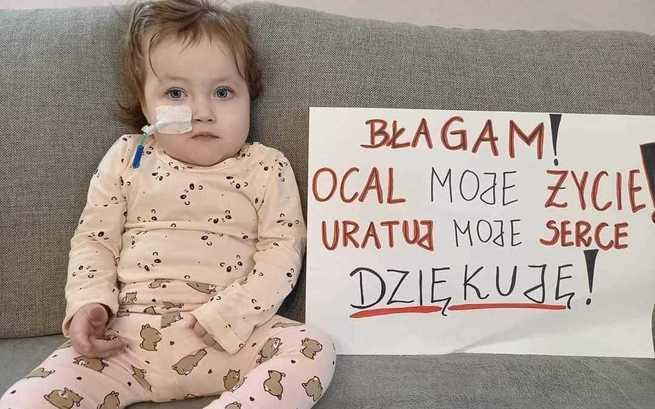 Szkolne Koło  Wolontariatu w Osowie