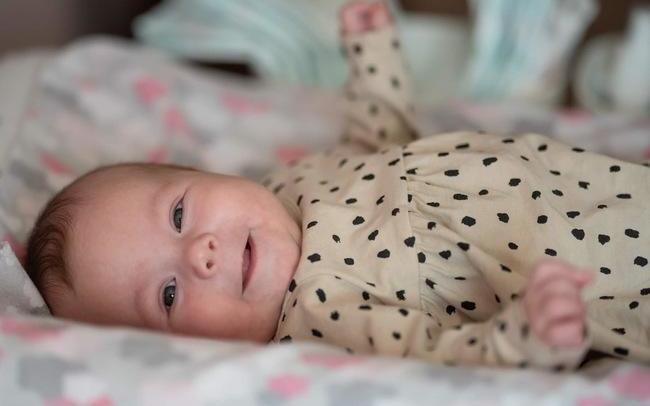 PPC GRYF S.A. grupa CEMOI