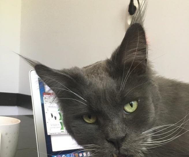 Katarzyna Kołodziejczyk