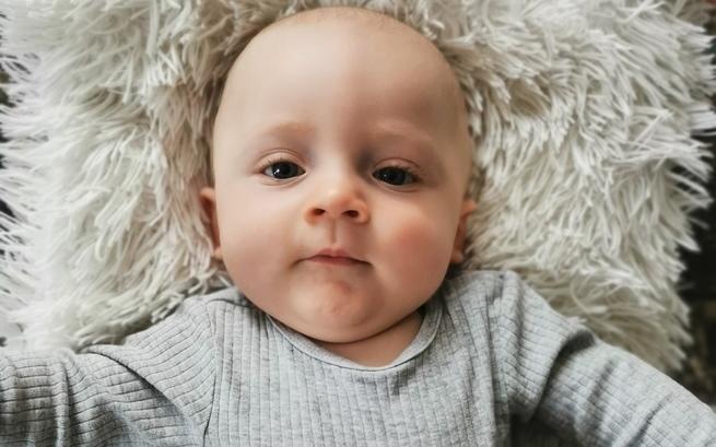 Łania Z Zielonego Wzgórza