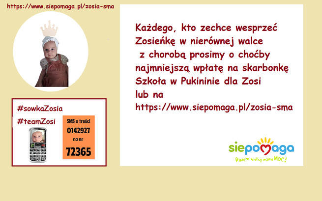 Szkoła Podstawowa w Pukininie