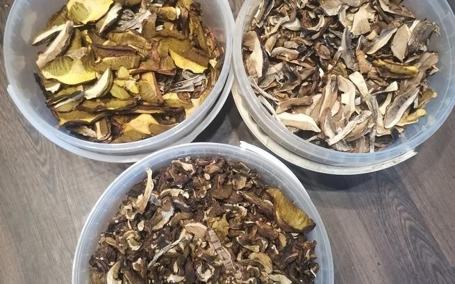 Remik Ania Wołowiec