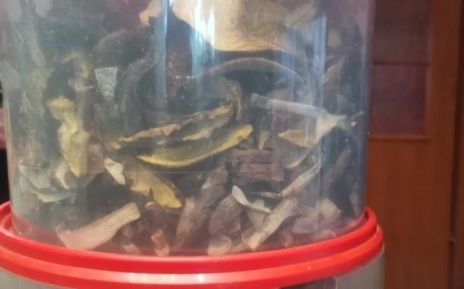 Remik Ania Wołowiec