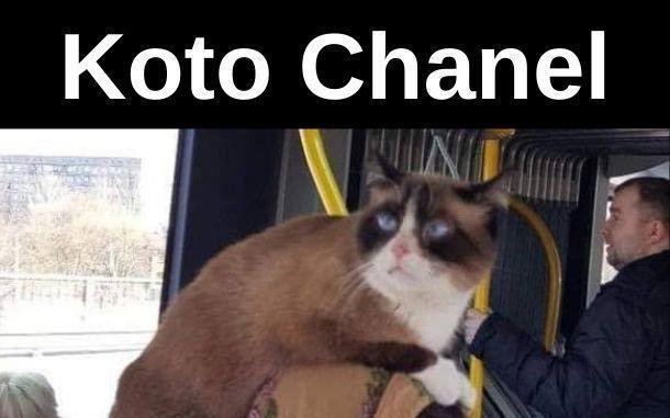 Magdalena Dawidowska