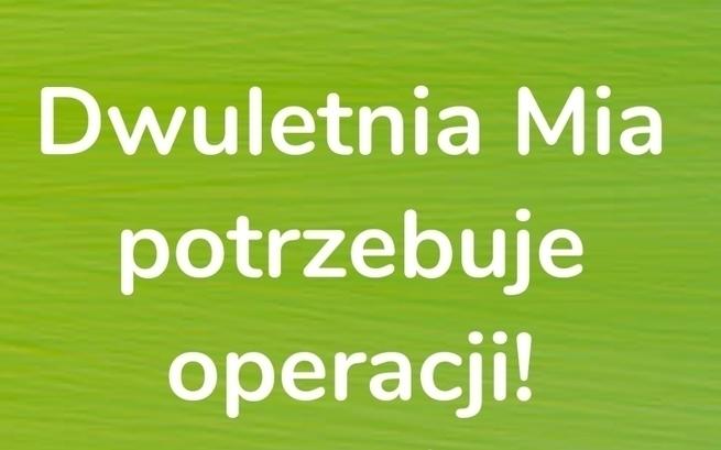 Edukator Justyna Glowa