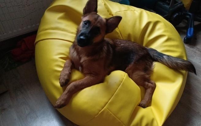 Małgorzata Orłowska