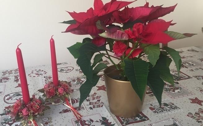 Anonimowa Pomagaczka