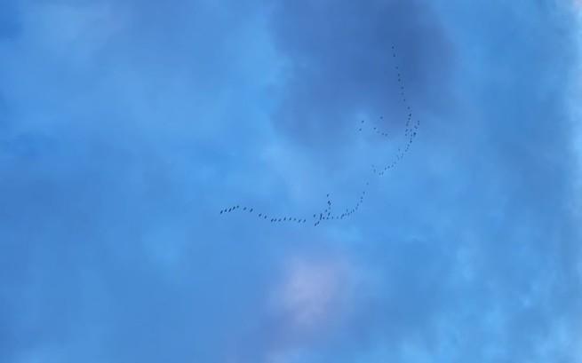 Justyna Mioduszewska