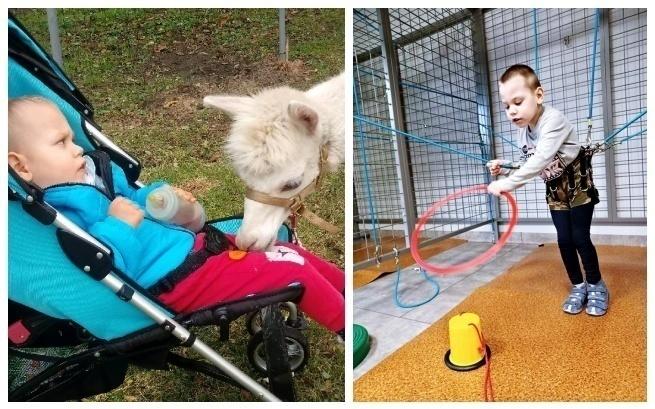 Bartłomiej Koszczyc