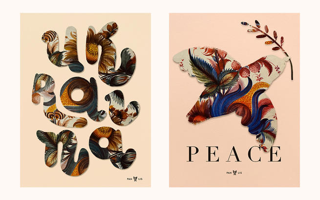 Pan Lis Katarzyna Lisiak