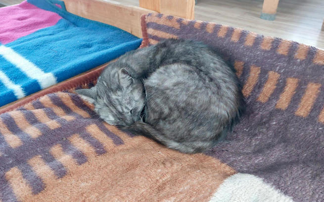 Stowarzyszenie Pozytywni