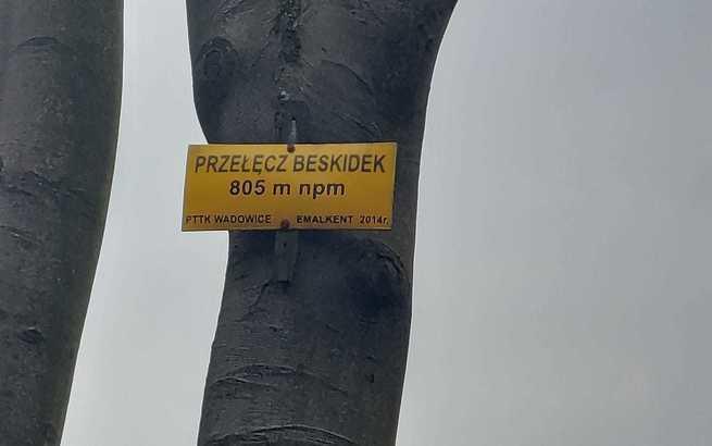 Stowarzyszenie Pozytywni