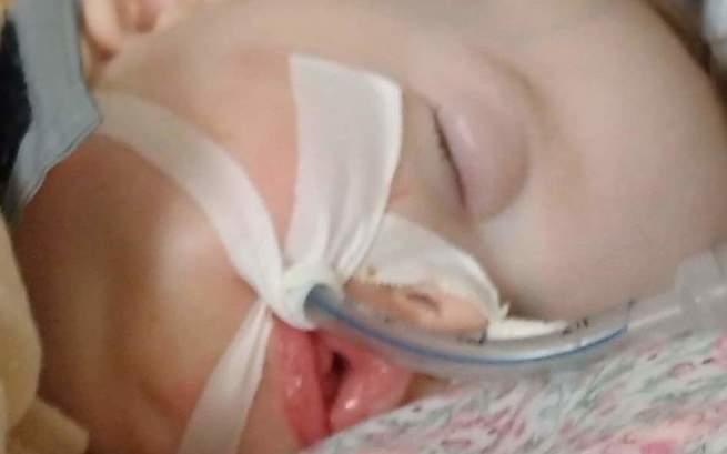 Agnieszka Krążyńska