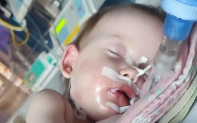 Katarzyna Podkomórka